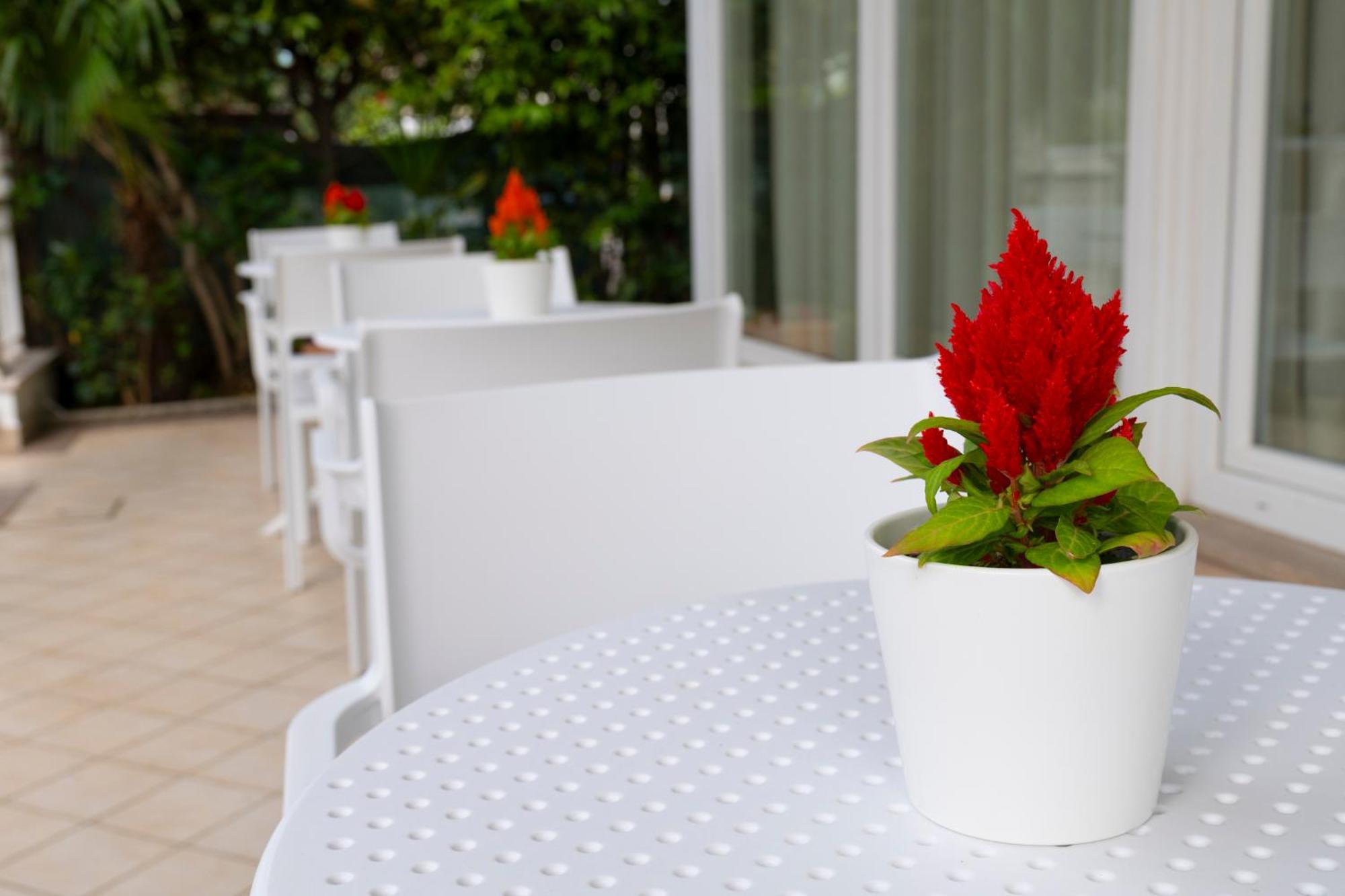 Hotel Negresco Riccione Esterno foto